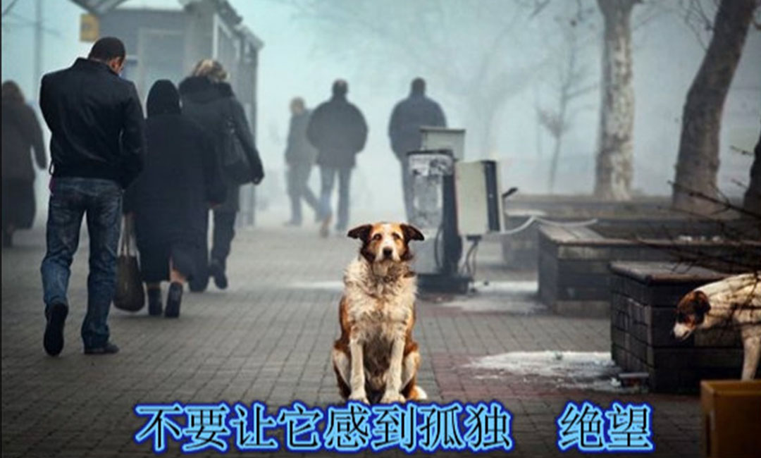黔东南黔东南爱影圈微博微信转发案例